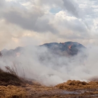 Pożar sterty siana w okolicach Szymanowa 7.VIII.22 r.