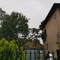 Walka ze skutkami nawałnicy w Sochaczewie 23.VII.22 r.